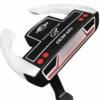 Ray Cook Sr800 Putter -Hot Sale Golf Shop 2272096500