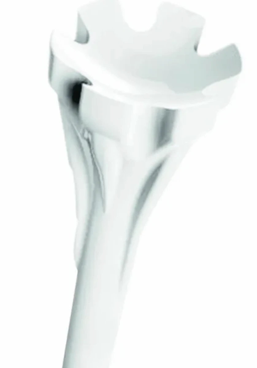 Champ White Zarma Fly Tee 44Mm 5 Champ White Zarma Fly Tee 44Mm - Image 3