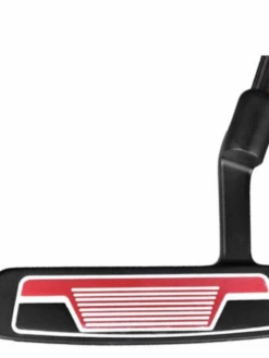 Ray Cook Sr800 Putter -Hot Sale Golf Shop IMG 2993 1