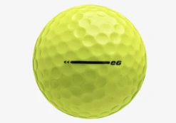 Bridgestone E6 Golf Balls Yellow 1 Dozen - Brand New -Hot Sale Golf Shop IMG 4065 Copy